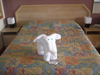 Motel Koala Tree Port Macquarie